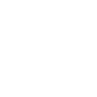 Telekom – Partner IT Business Collaboration